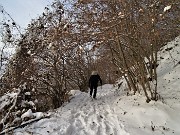 12 Tratto di sentiero nel bosco  pestando neve